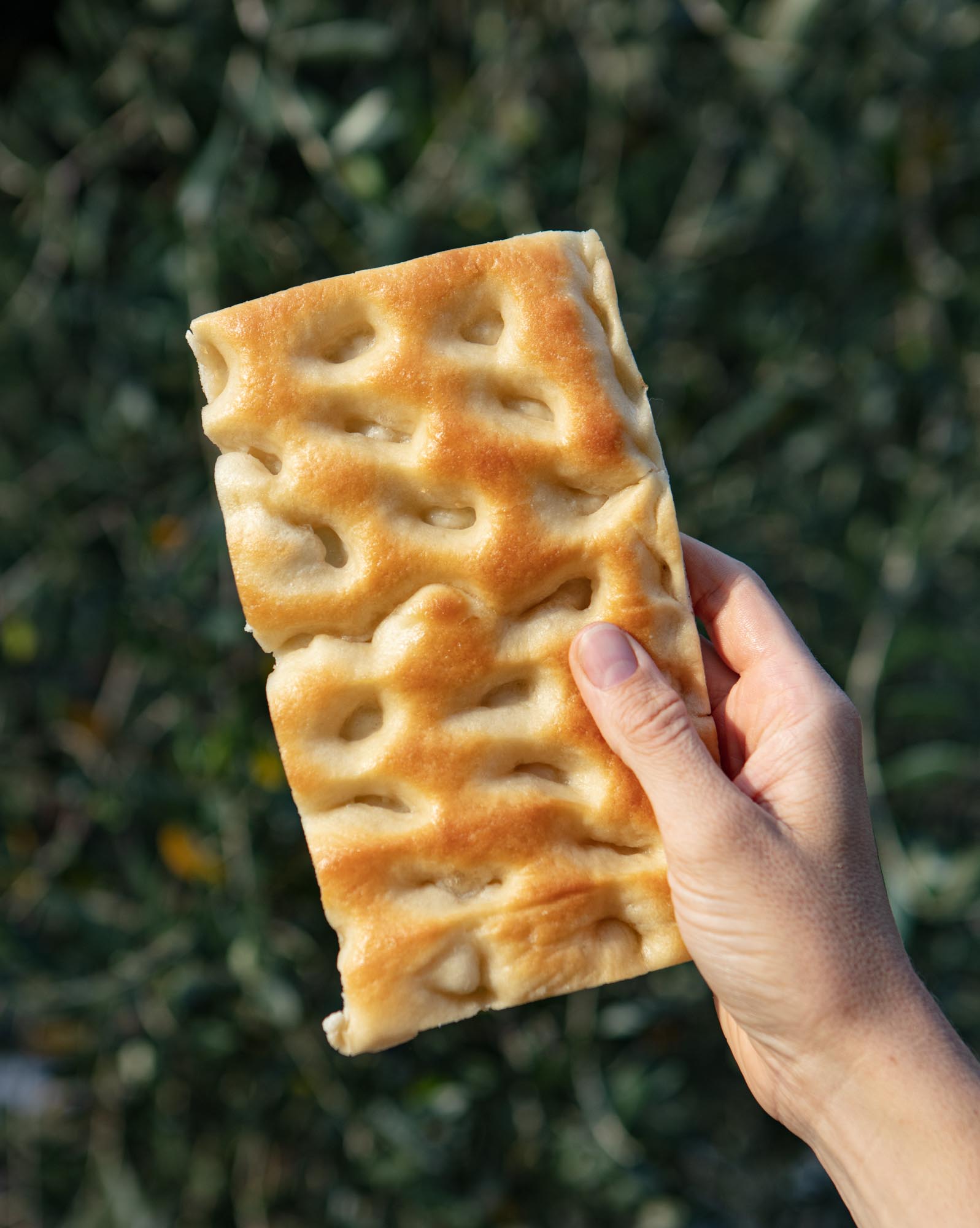 Copia di focaccia