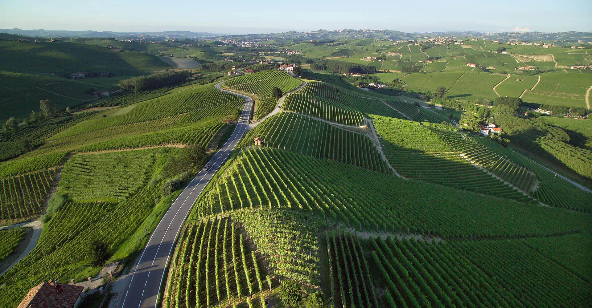 Copia di CERETTO+LANGHE+