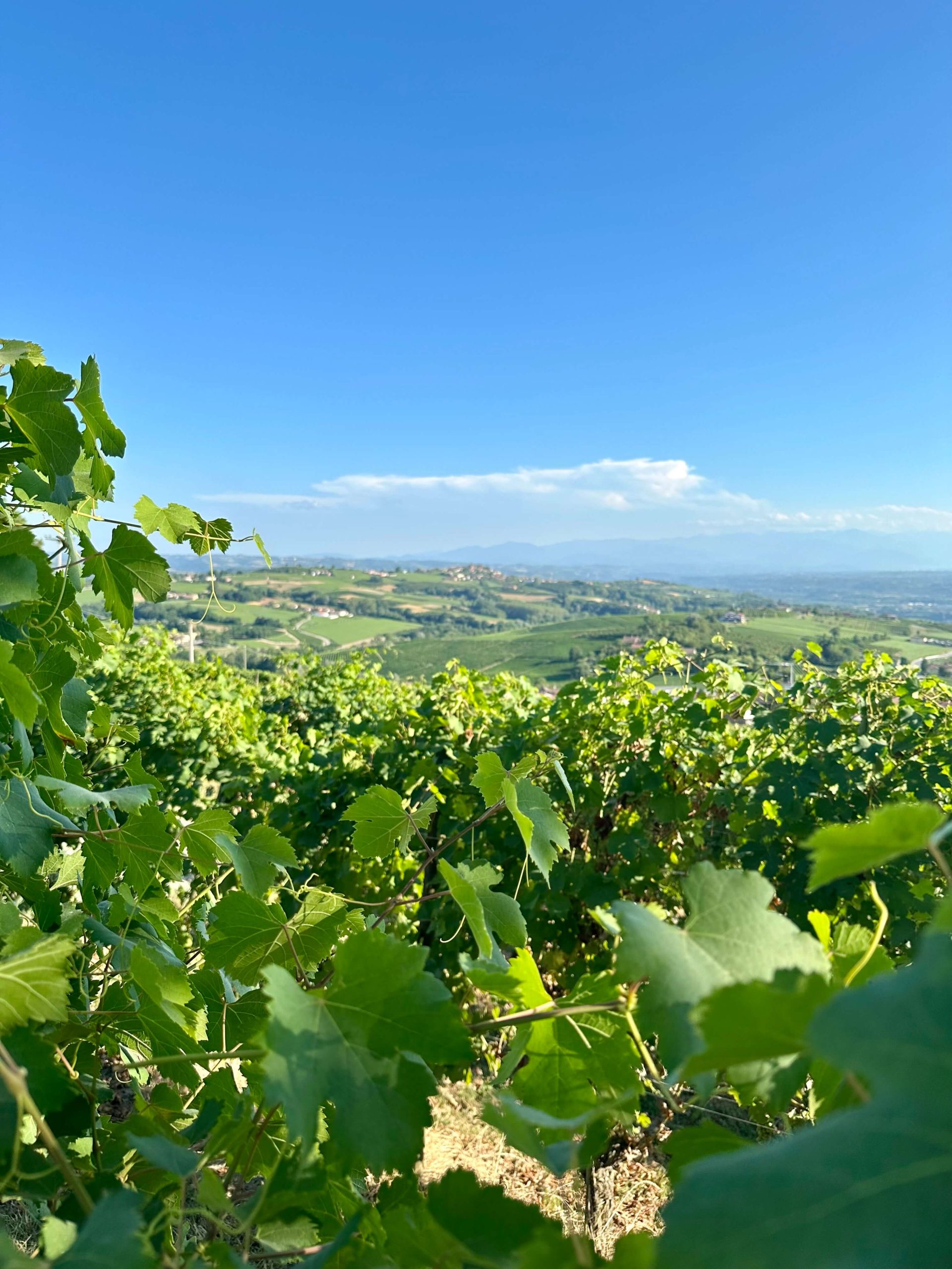 Copia di IMG_0840